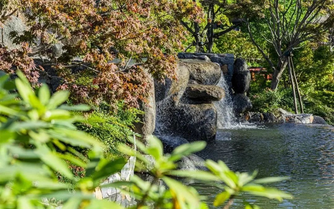 融创·阿朵花屿：诗酒茶田，梦居藏马 | 顺景园林