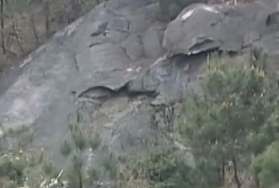 故事：农村14岁少年每天疯狂喝水,一天能喝30斤,他的身体有何不同