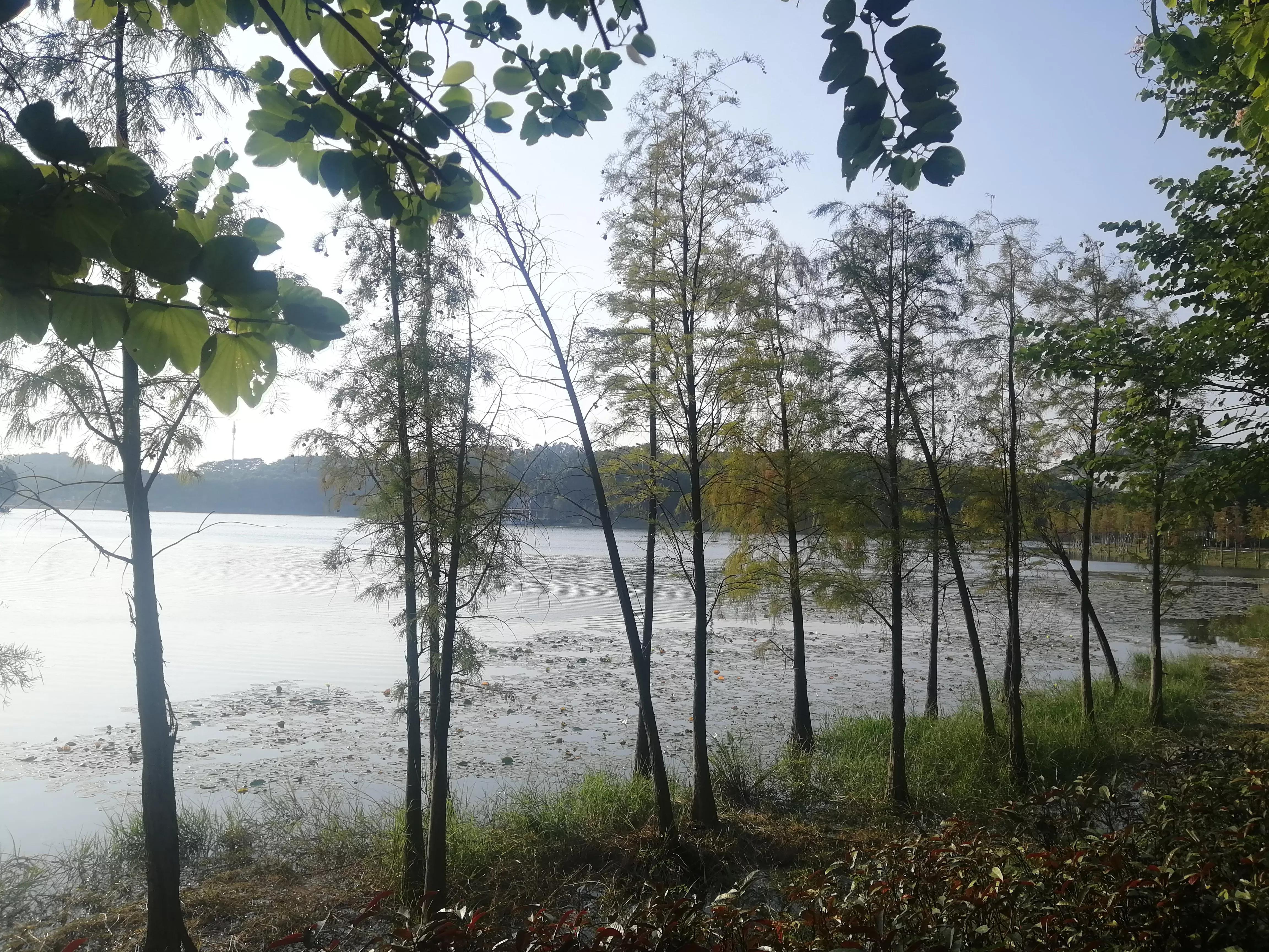 地铁4号线广州大学城一日游，带你体验不一样的大学城风景（A篇）