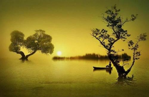 得失辩证法！高考作文参考范文《超越得失，通达人生》