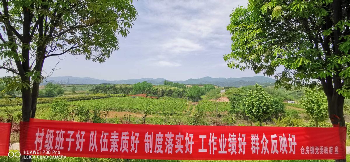仓房镇“文明宜居红旗”专班督导下寺管理区工作简报