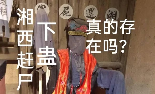 农村赶尸术、巫蛊师，是真有其事，还是骗局？一文说清