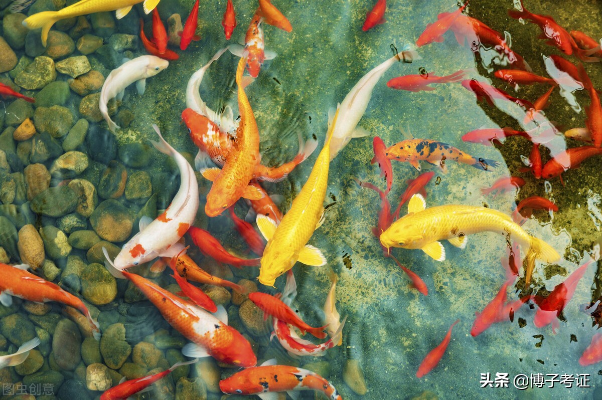 大专毕业生的出路在哪里，这五个方向可以考虑