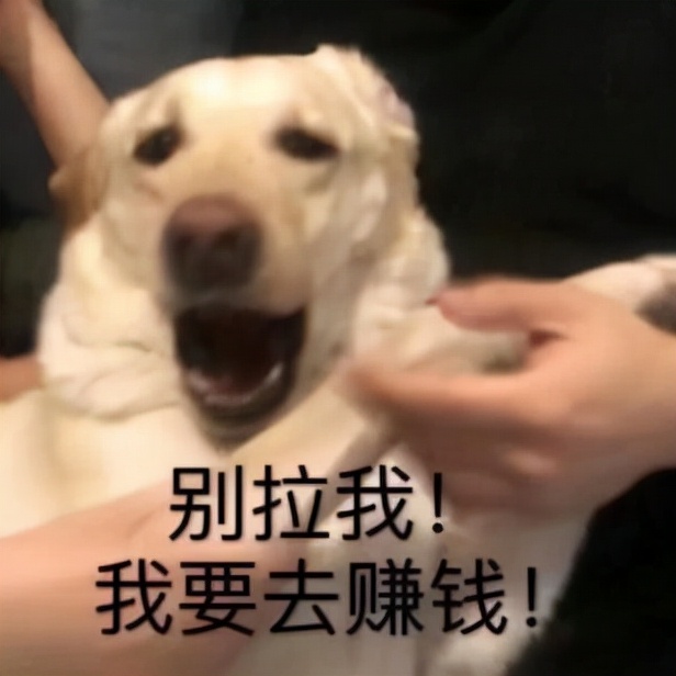 每次赚几百！手把手教你可转债打新