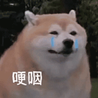 靠谱专业的搬家公司如何选？看准这6条