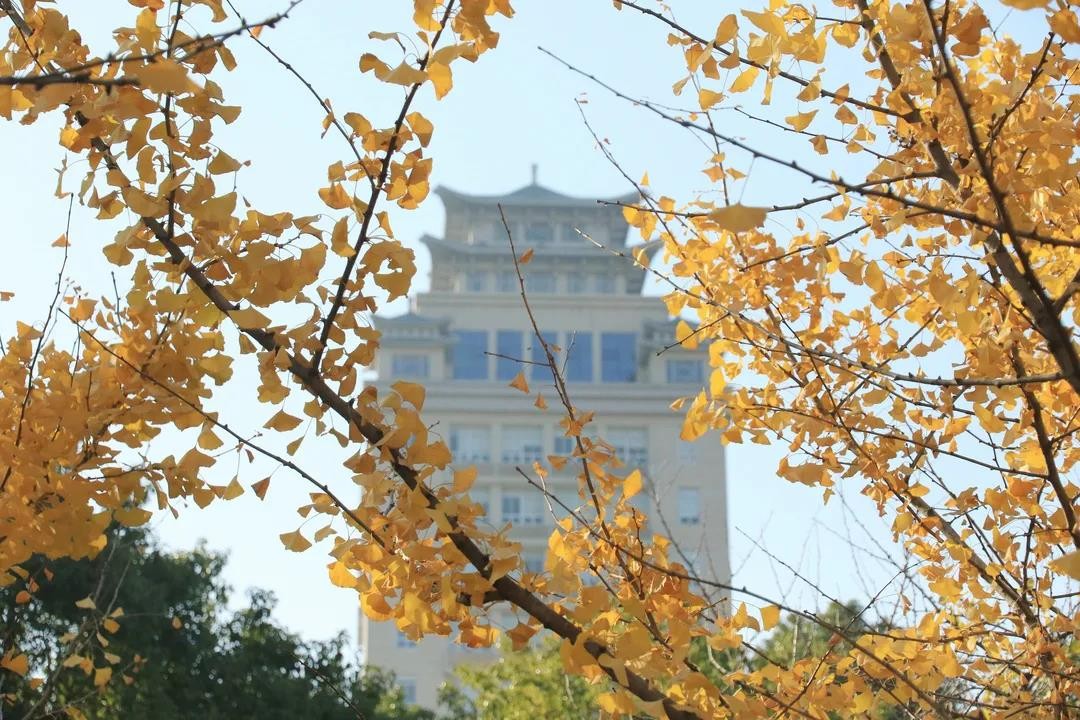 冷空气频频来袭！或许，这就是湖北“最温暖”的大学的之一！