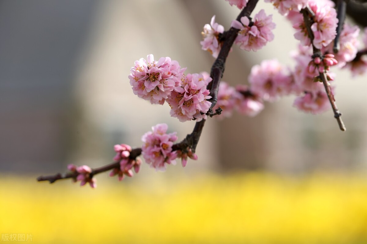 自己的路自己走，只有自己最靠谱