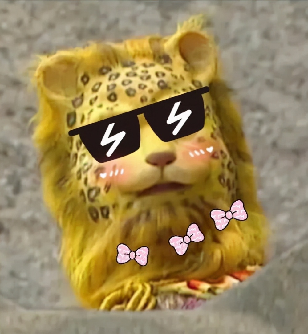 春节过年金钱豹图片 金钱豹头像大全