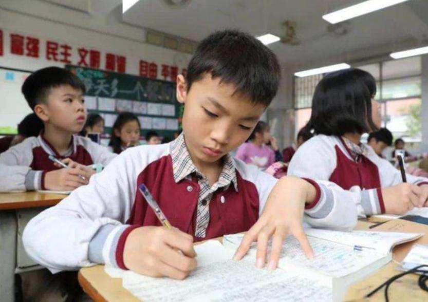 三年级小学生考291分，家长朋友圈炫耀，网友泼冷水：等初中再看