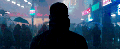 3天涨粉230万，柳夜熙凭什么火？