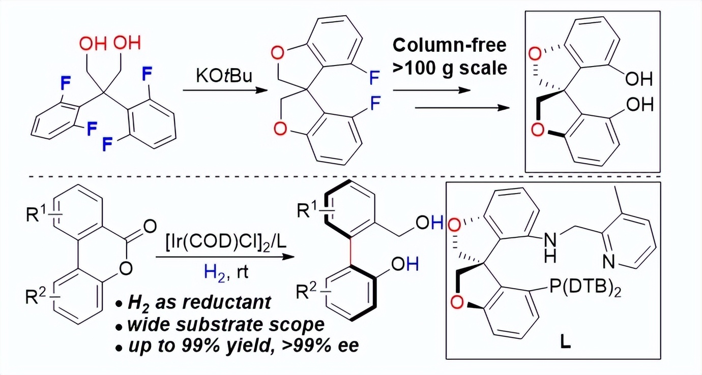 南方科技大学张绪穆教授近年来工作概览