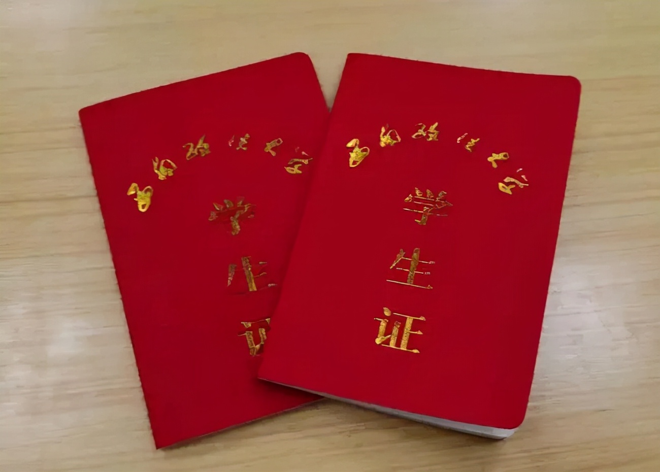 学生拿被狗咬碎的学生证坐车，装了一袋子，网友：有用的一处没少