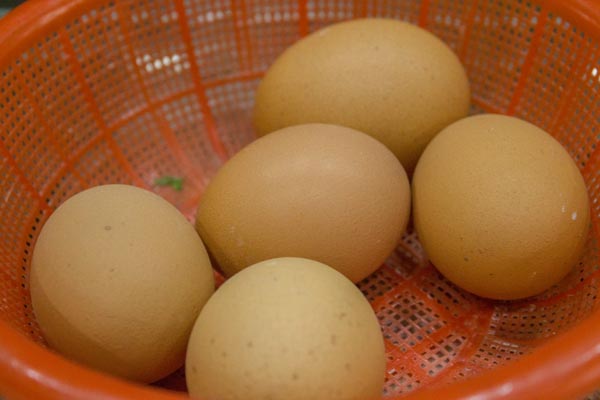 一天到底吃几个鸡蛋好？蛋黄吃不吃？终于知道靠谱的答案了