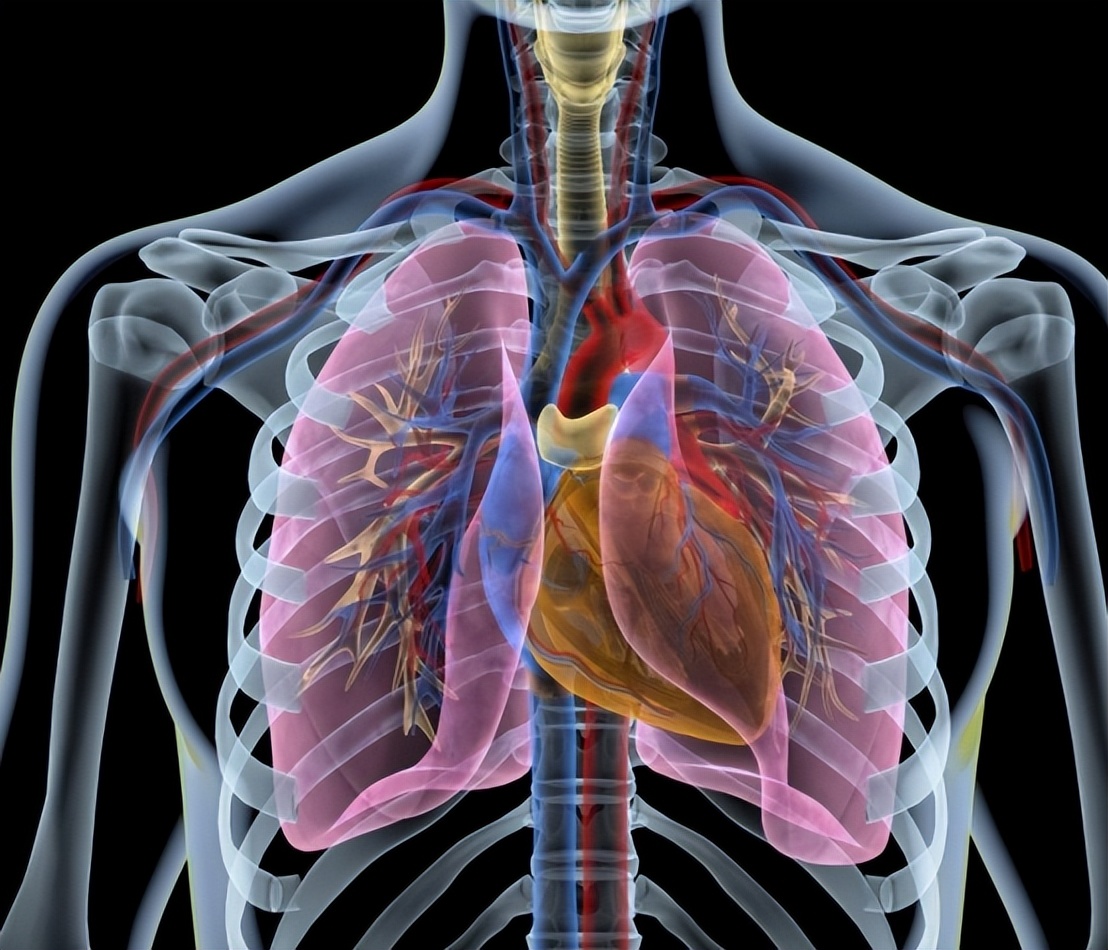 嗓子里总有痰，痰多吐不完？教你4招，切断“生痰之源”