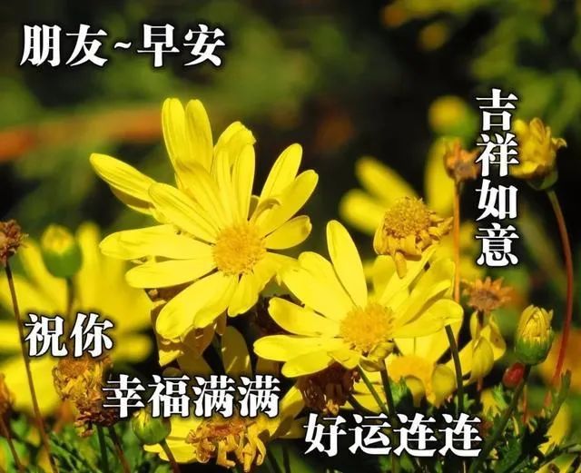 3月15日周二唯美早上好问候语图片，正能量语句，天天开心