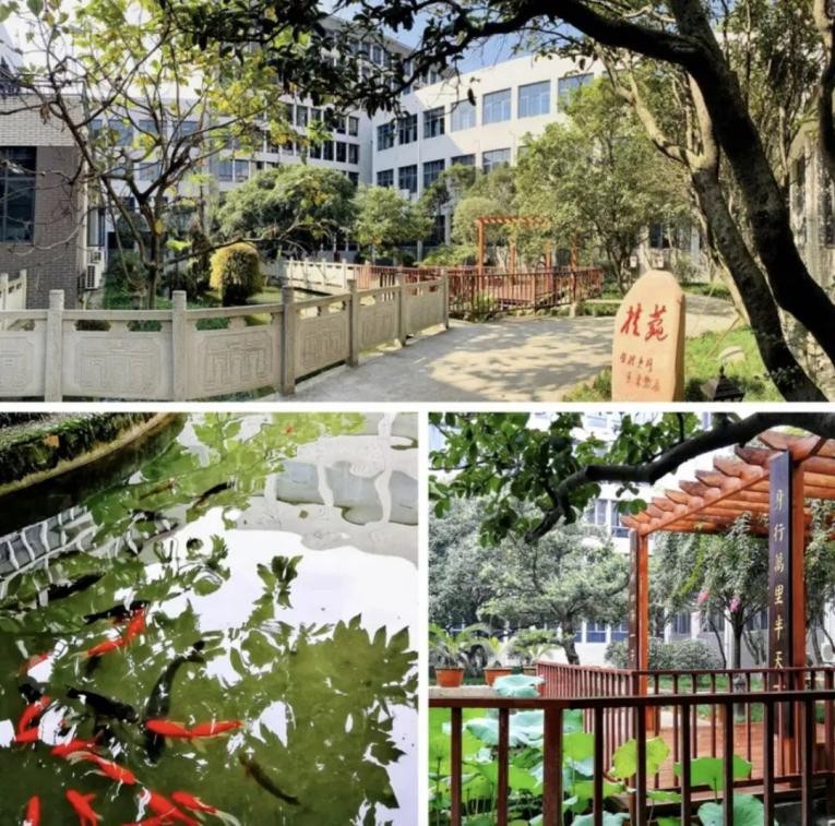 逢盛世，求卓越，怀青云志赴“一流”！四川大学，邀你共赴未来！