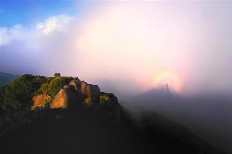 96年广西药农深山躲雨，丛林闪现诡异“闪光”，揭开尘封52年悬案