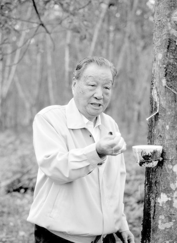 草房创业，打破封锁！征程64年，海南大学屡创第一，享一流之名！