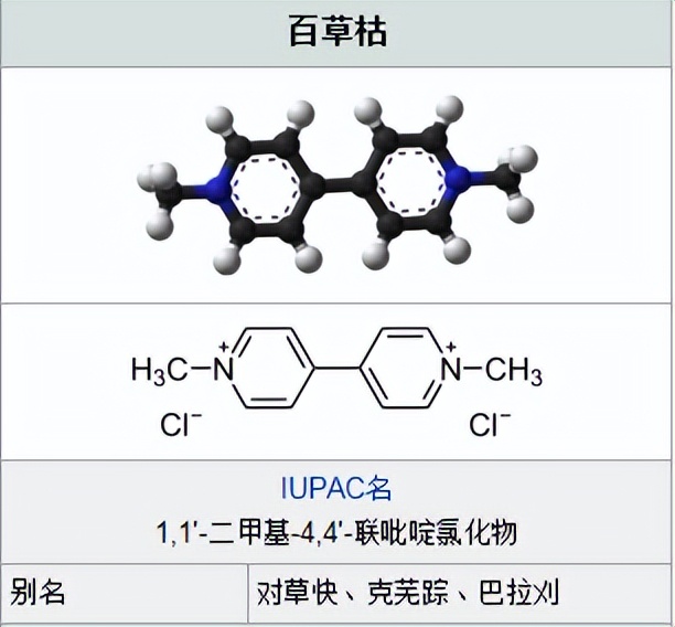 “百草枯女孩”死里逃生！能被救回来，靠的是什么？