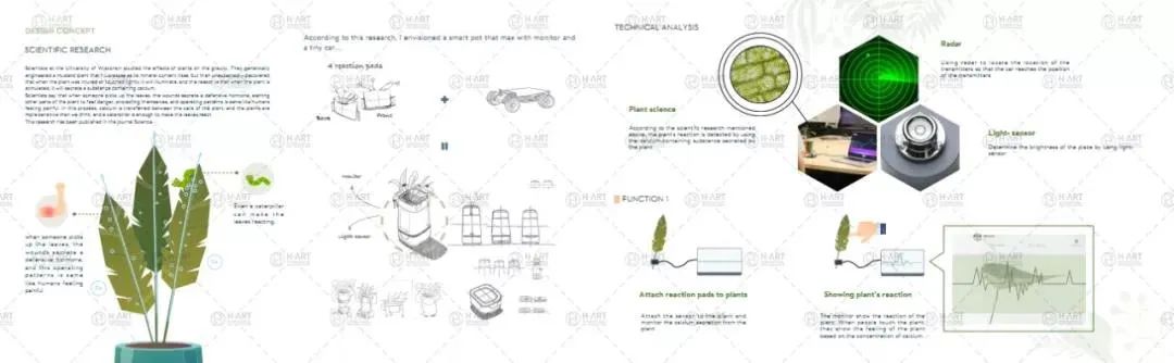 想进高校当老师，升学计划怎么做