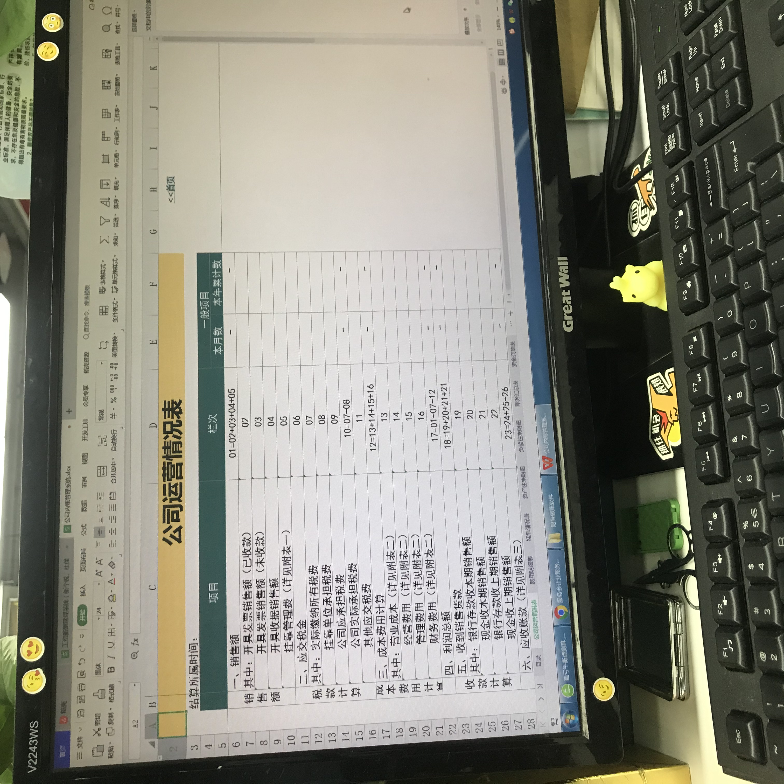 发现一广东24岁女会计，做的公司内账管理系统，合理合规套用