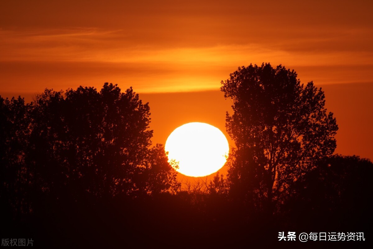 每日运势资讯 十二生肖 生活 运势 2022年6月25日