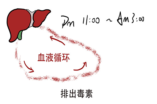 人睡着的时候，癌症也会睡着吗？惊人发现：人睡着时，癌细胞会醒