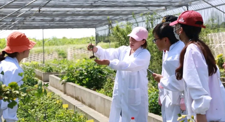 上榜率100%！最新软科中国大学专业排名公布，南京林业大学77个专业登榜！