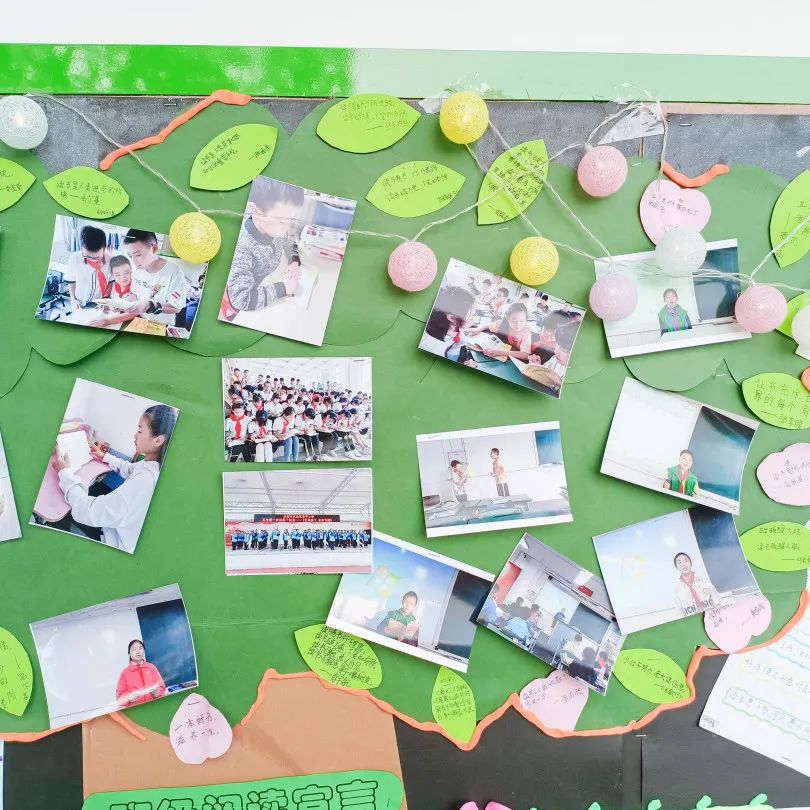 成都市双流区黄甲小学举行读书节之阅读展板评比活动
