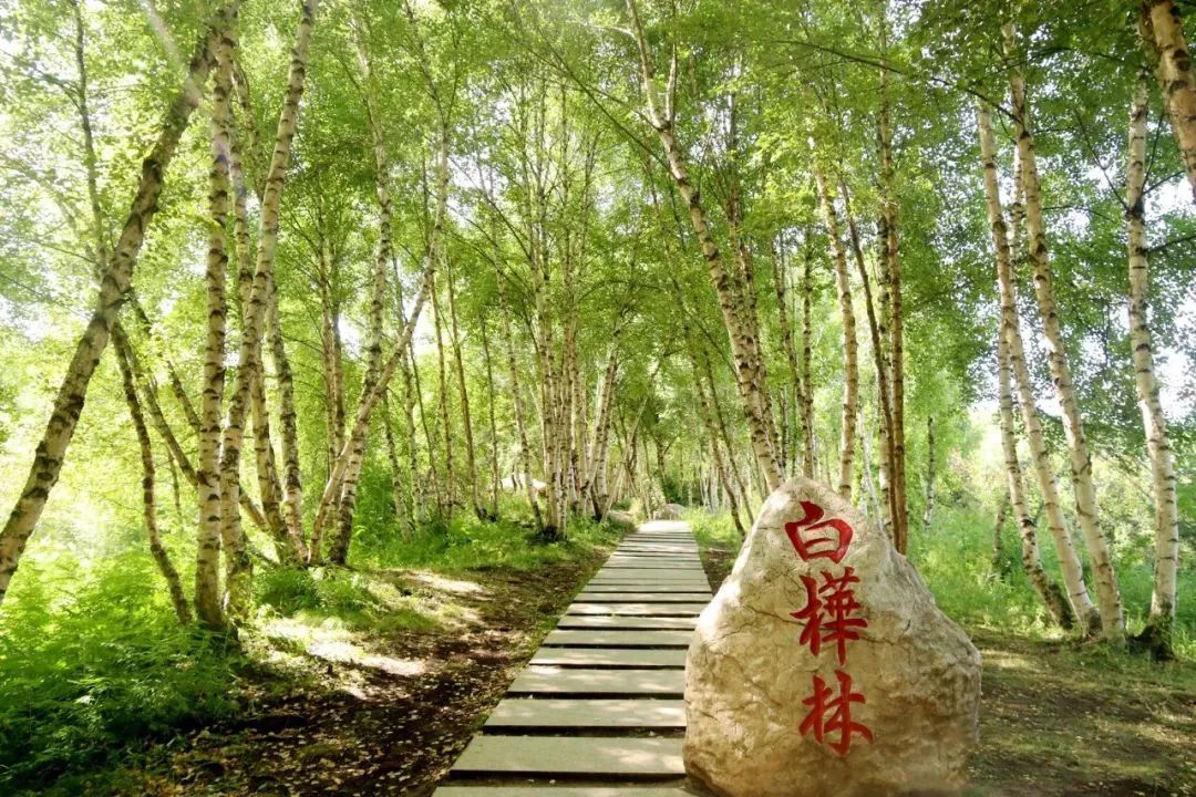 “五一”自驾出游 | 不远行，不聚集，这三条宝藏游玩线路走起！