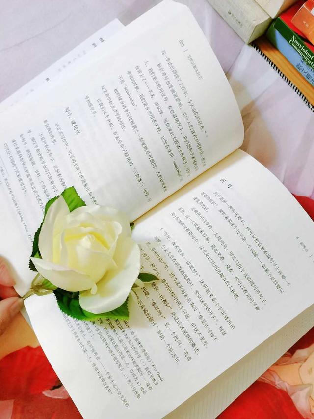 新手写作的入门指南，让你轻松学会写作