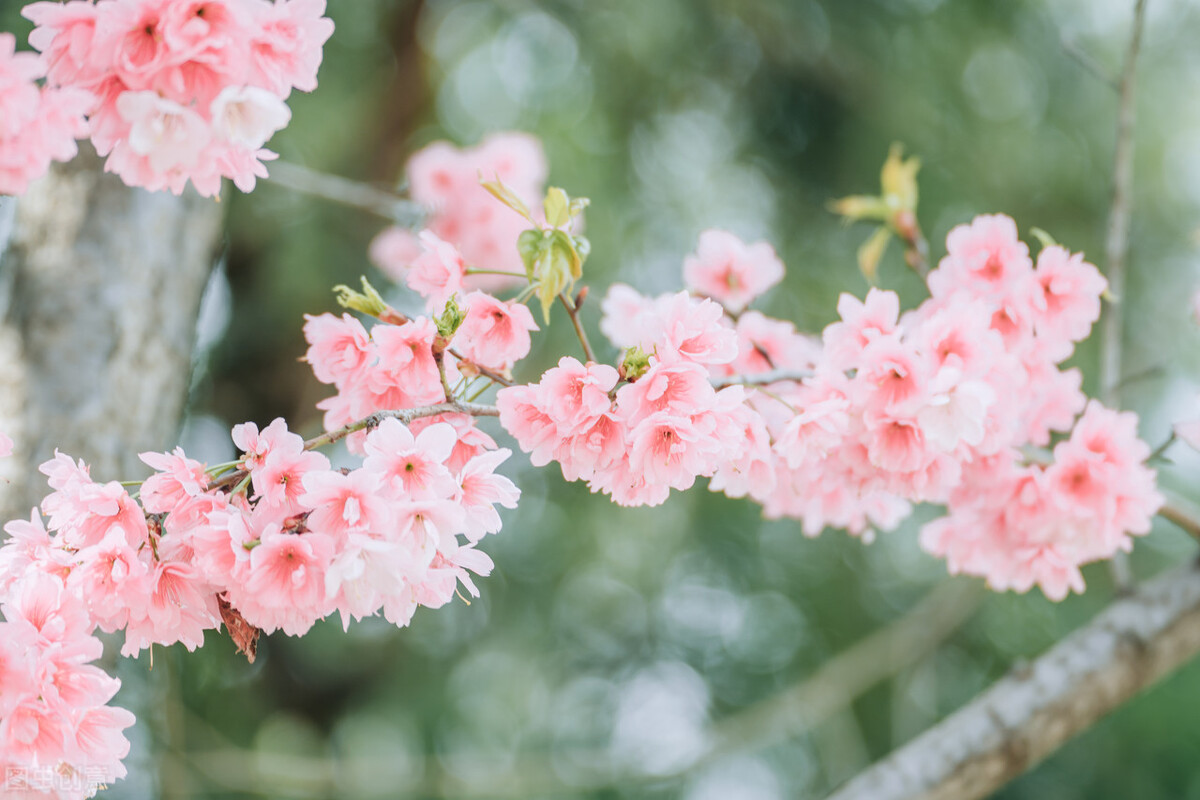 從不跟男人伸手要錢的星座女 天天看點