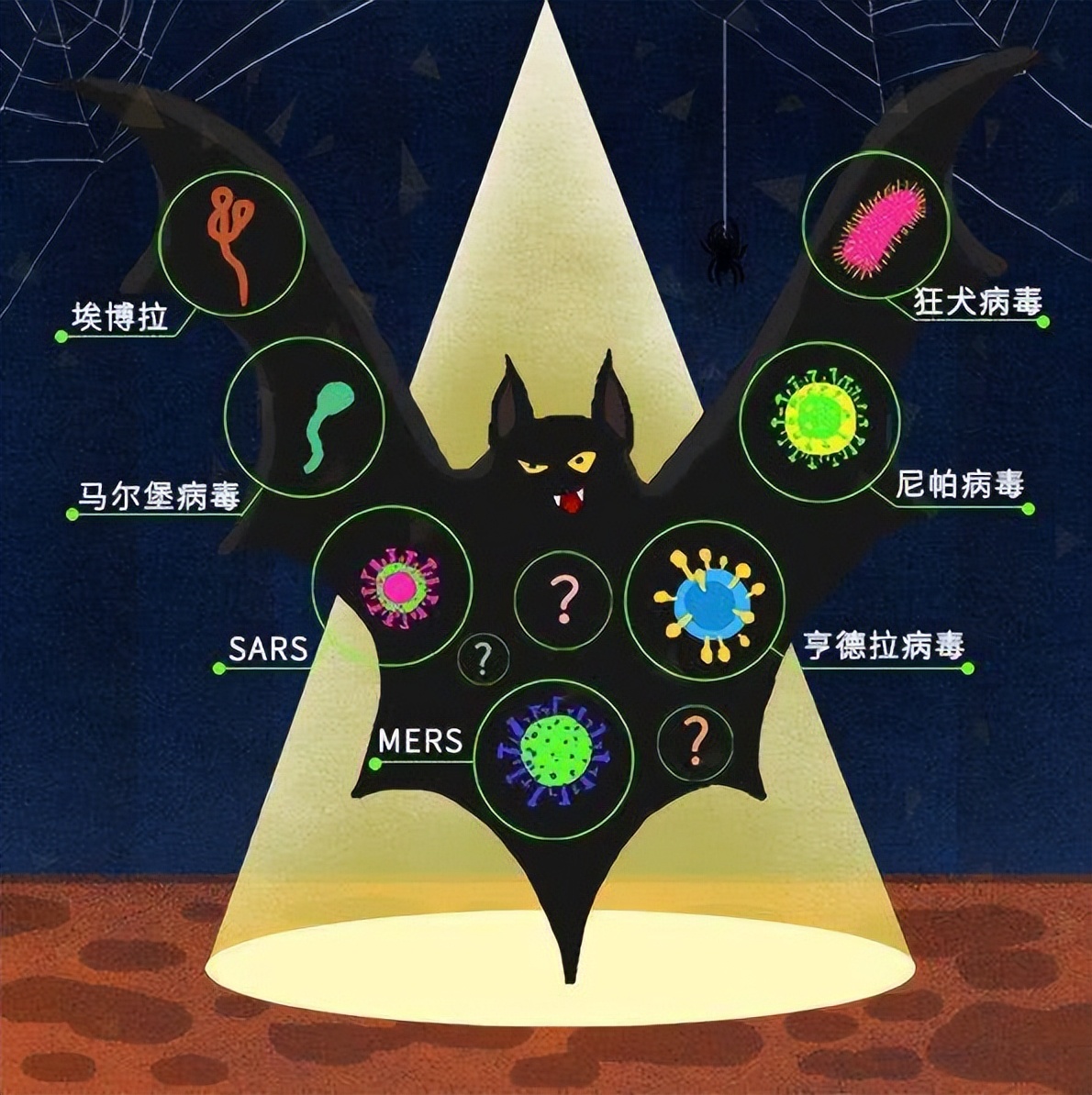 蝙蝠携带病毒上千种，包括冠状病毒，人类为何不消灭蝙蝠？
