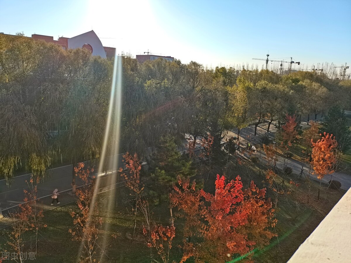 看似公办，实则民办的5所大学，在东北办学特色明显，性价比高