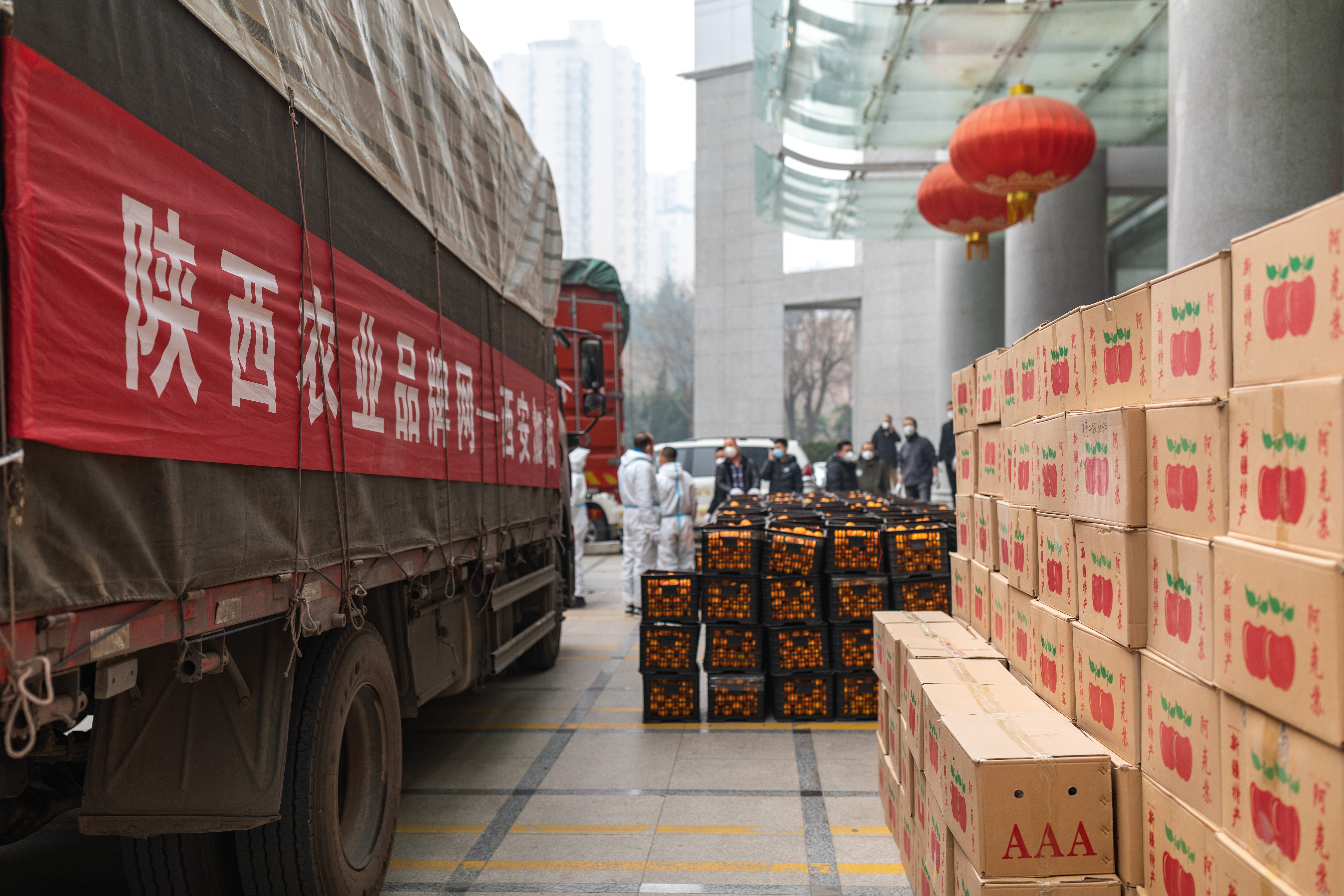 陕西农业品牌网、陕西绿农商贸公司为一线医护和新闻工作者送水果