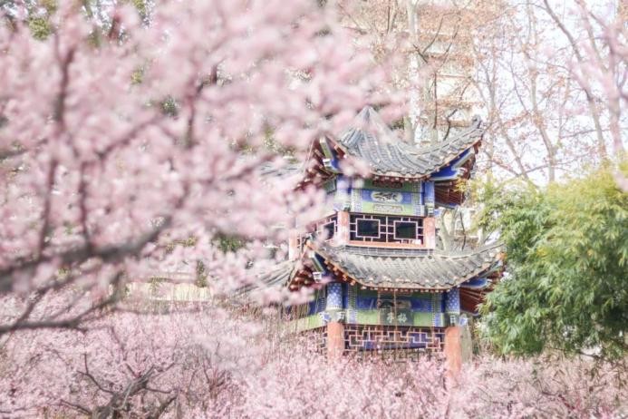 高校校花(高清大图来袭！湖北高校“最美校花”新鲜出炉！颜值超高，惊艳众人！)