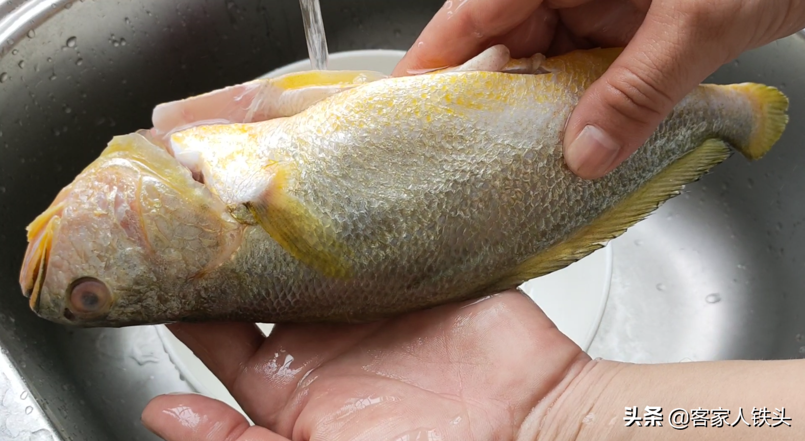 黃花魚(yú)的做法,黃花魚(yú)的做法家常做法