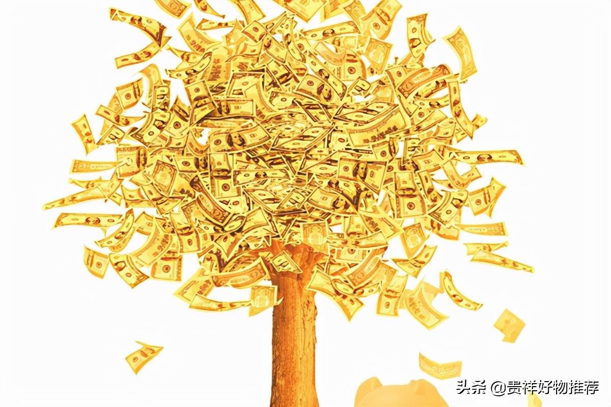 八种植物招财又旺宅，万年青排行第一，发财树、金钱树上榜