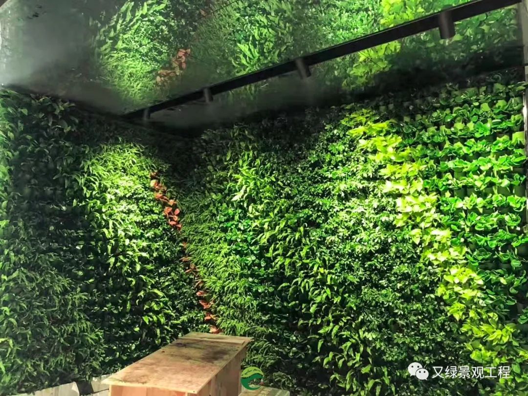 企业植物墙这样做，简约又大气