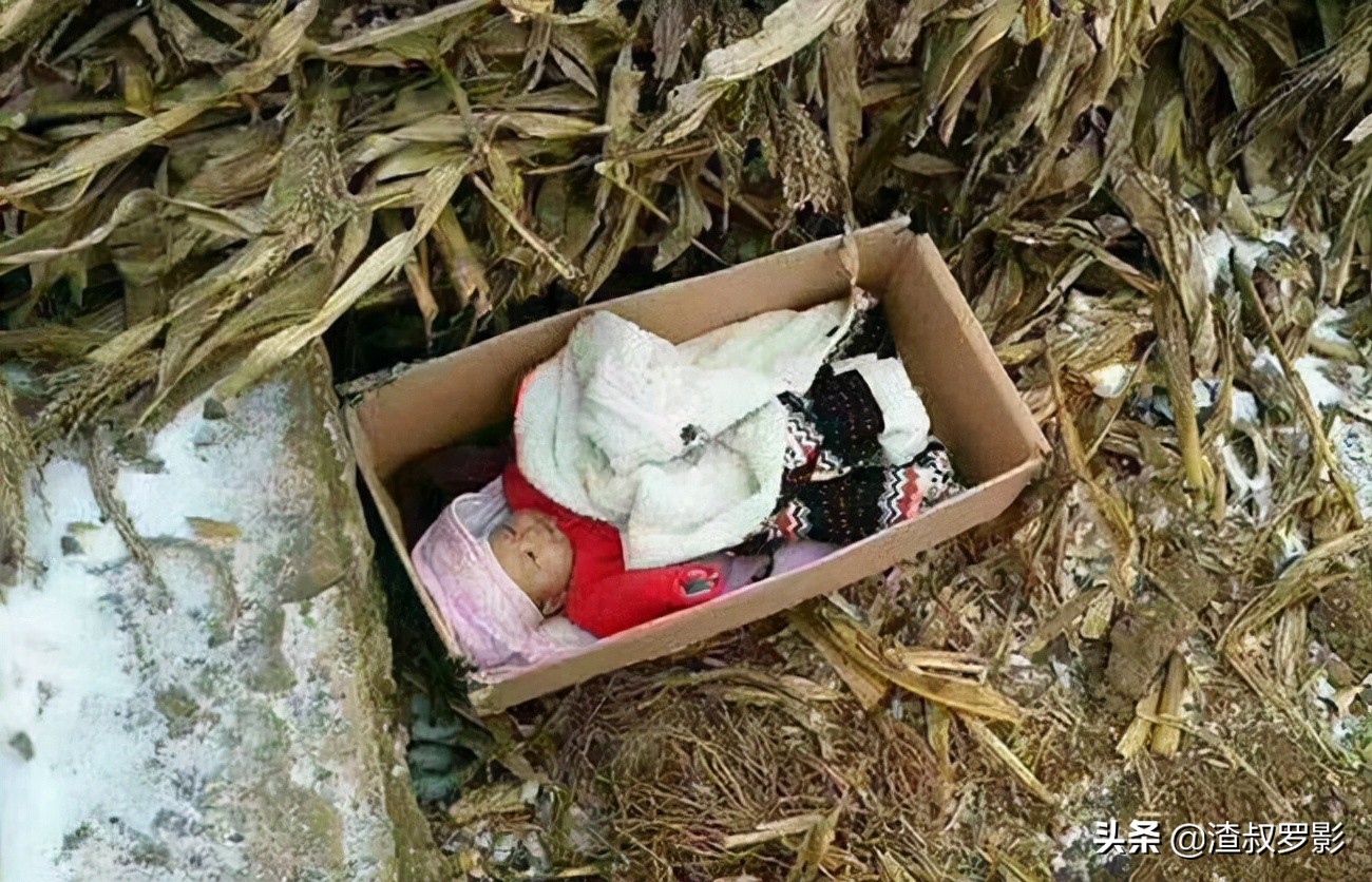 一女婴被弃，拾荒老人养大身价过亿，为报恩卖公司带养父环游祖国