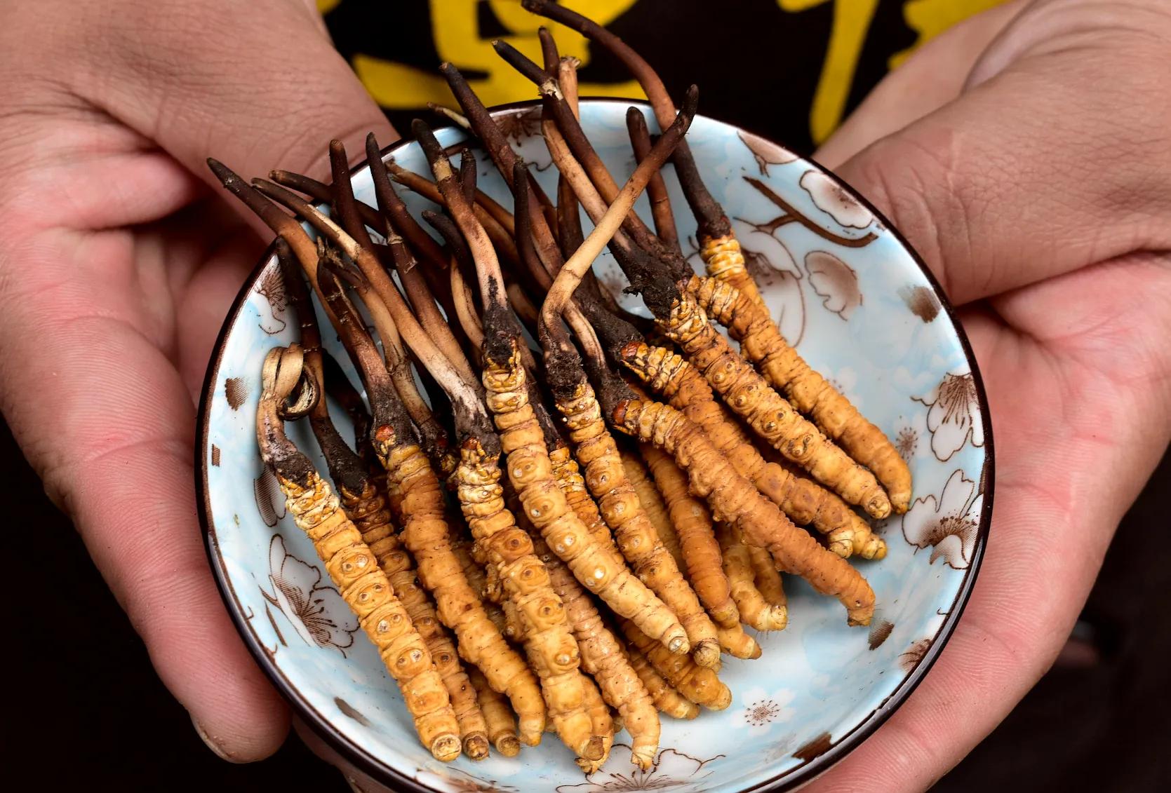 中国最好吃的十大顶级食材