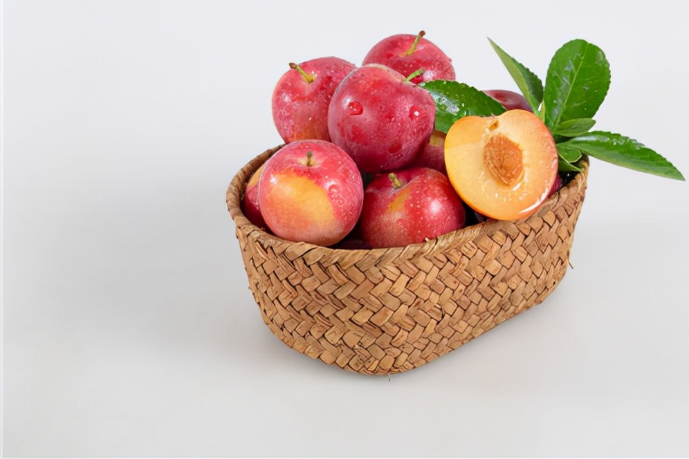 关于杂交品种樱桃李子苗,四川厚强樱桃苗基地给大家科普-成都樱桃苗