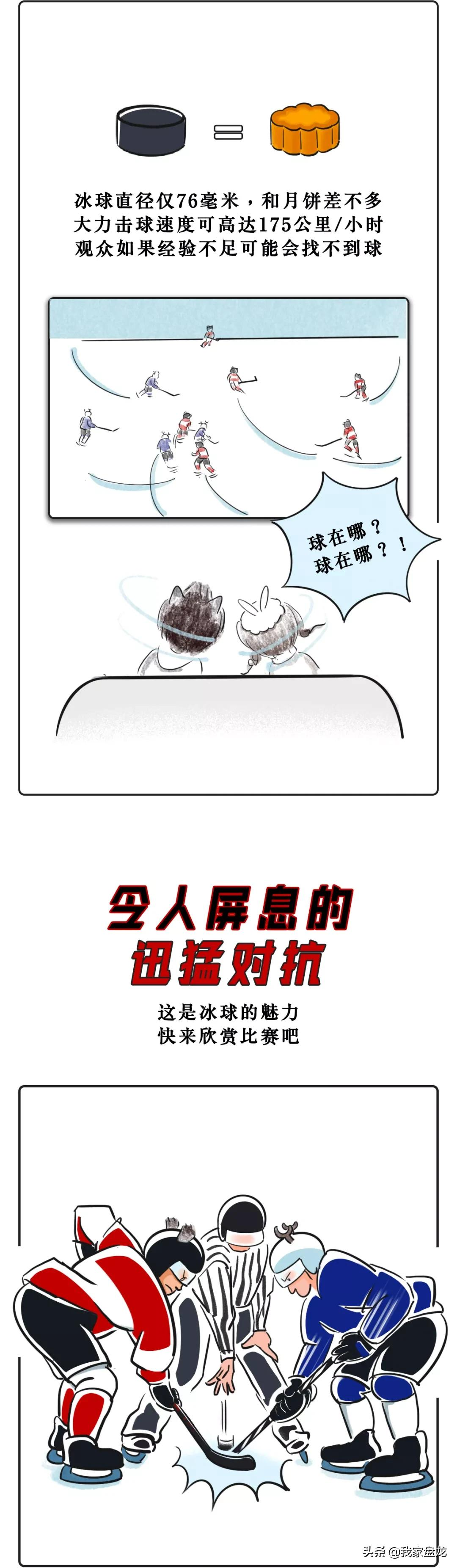 奥运会的图案一般有哪些(一条漫画带你看懂北京冬奥会15个比赛项目！)