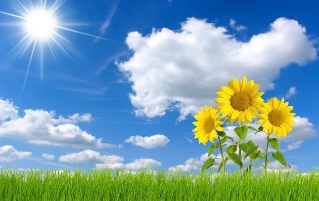 人世间最美好的东西,就是心灵的美好,它是任何美都无法替代的美