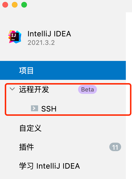 体验新版本的IDEA，居然有远程开发的功能？