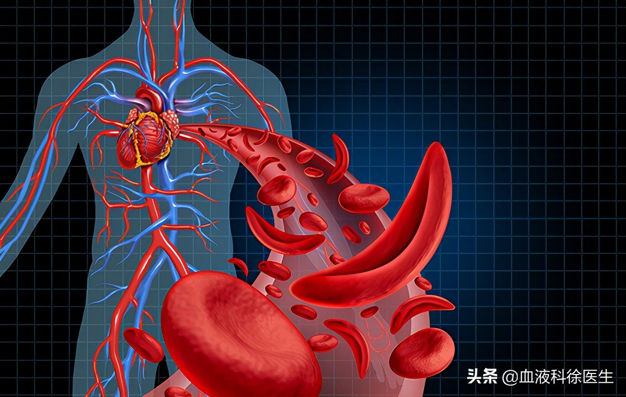 血液粘稠怎么调理？