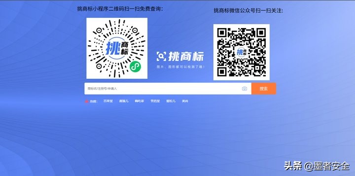 公司的注册号怎么查（商标查询系统官网）