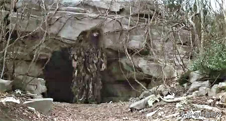 神龙架野人(神农架野人频频出没，近千人声称见到野人，中国三次考察揭开真相)