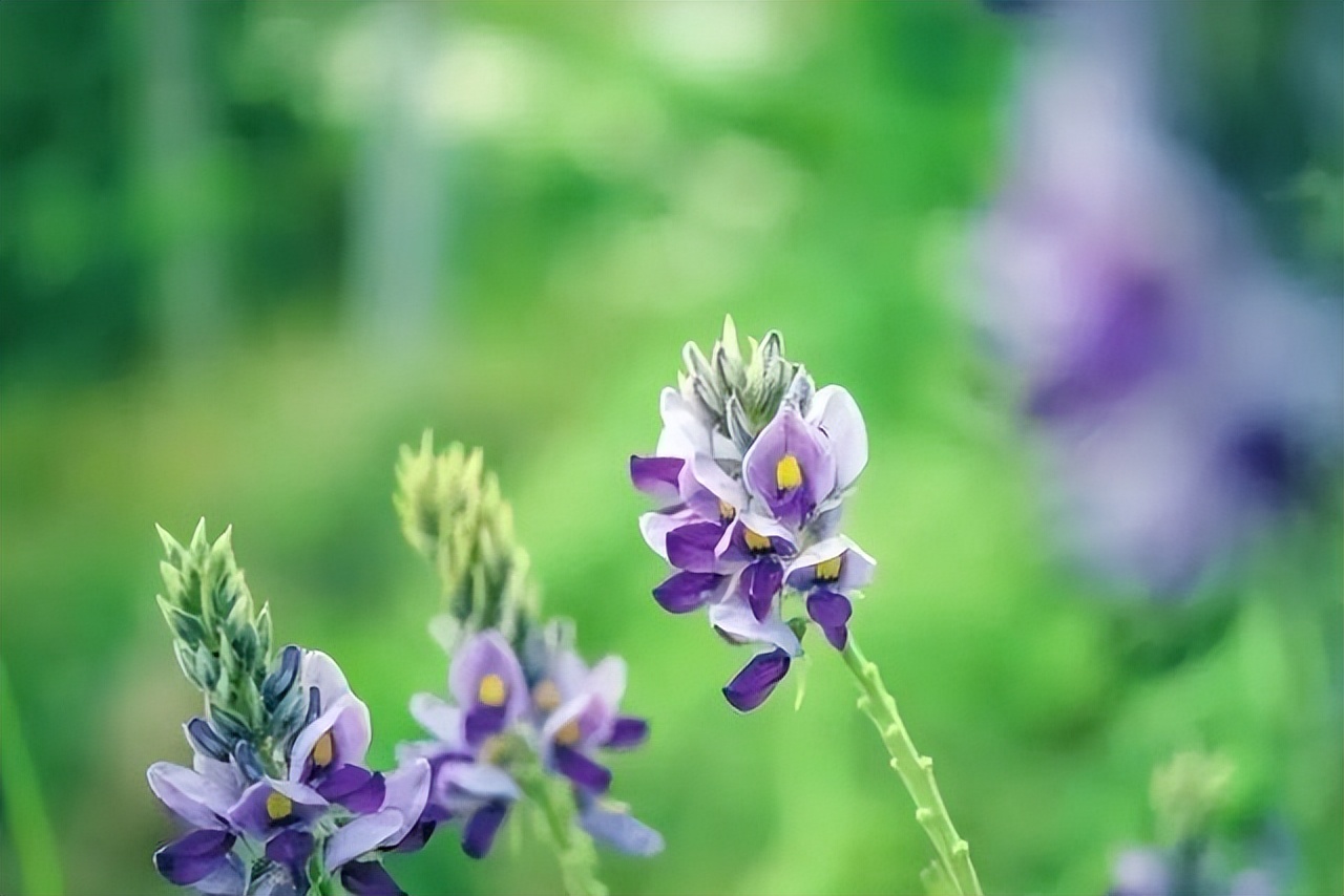 有三句情话，男生主动跟你说了，多半是爱你到极致了