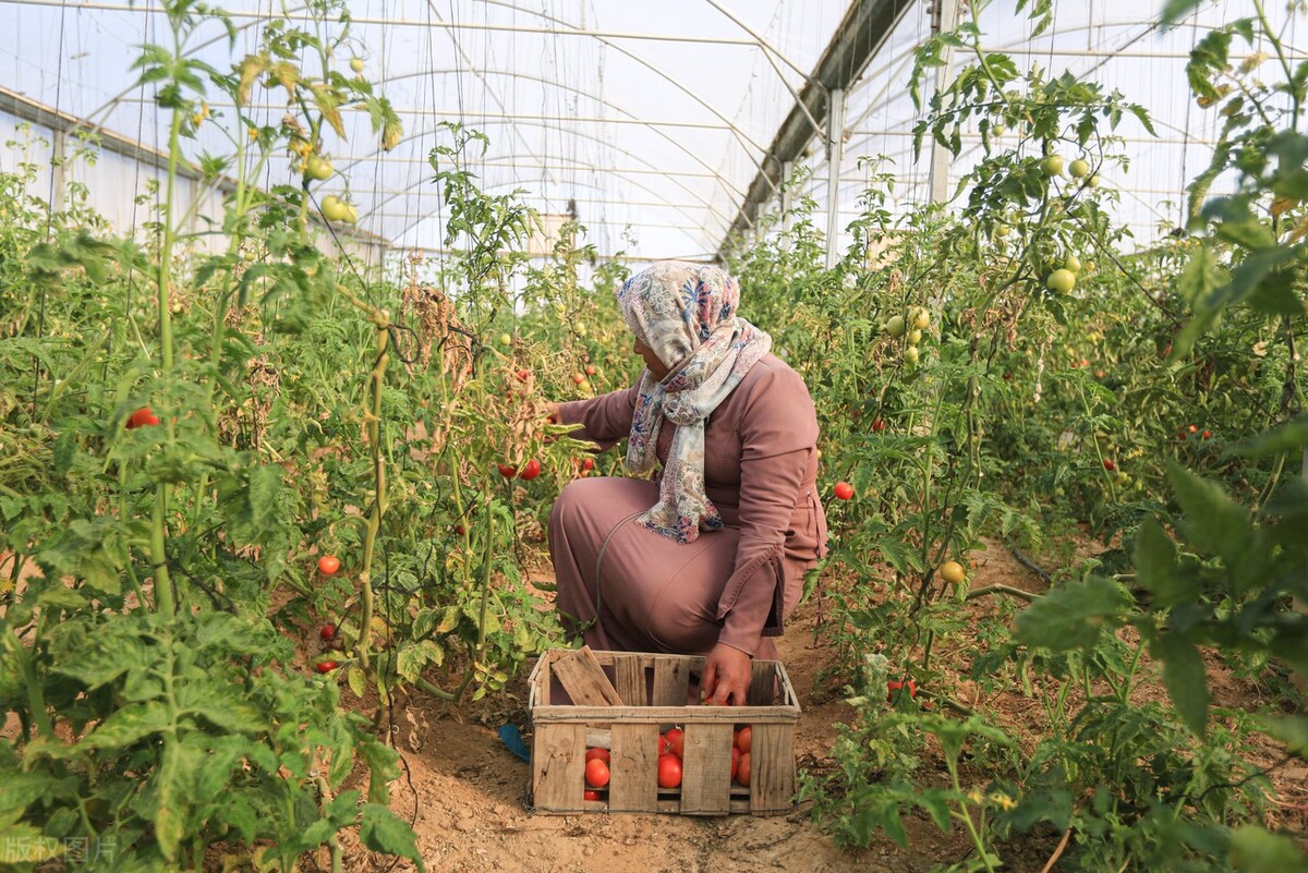 企业会计学（这女孩格局大了）